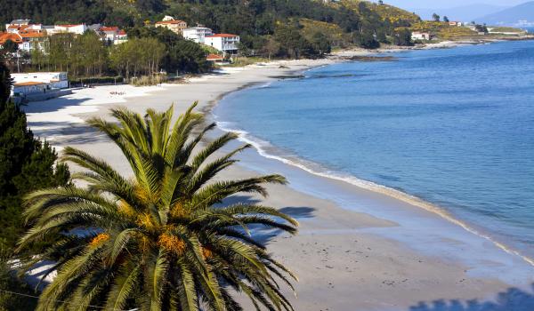 Playa de San Francisco