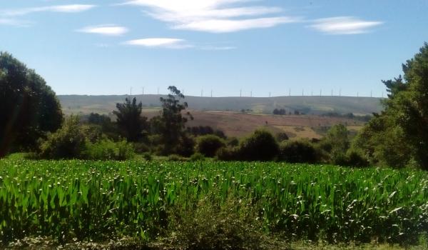 Espacio natural Serra do Careón