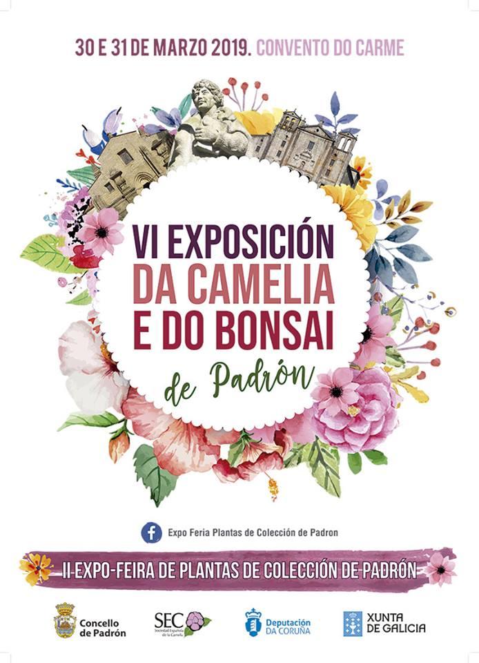 Exposición Camelia Padrón