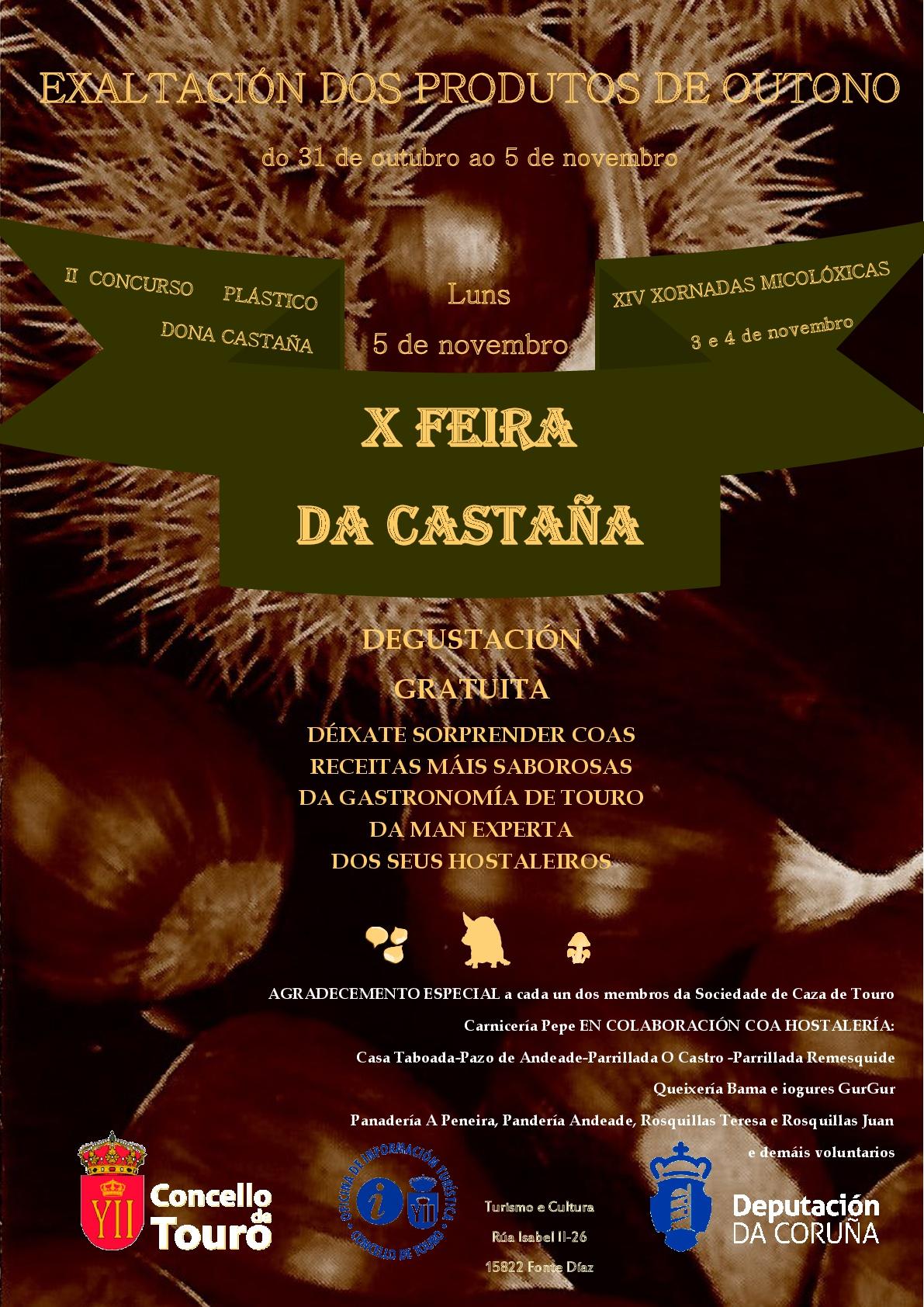 X Feira da castaña